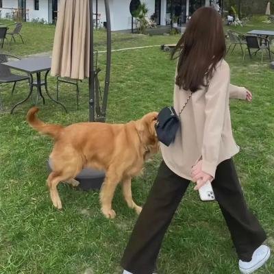 一位茶道大师之死 海报